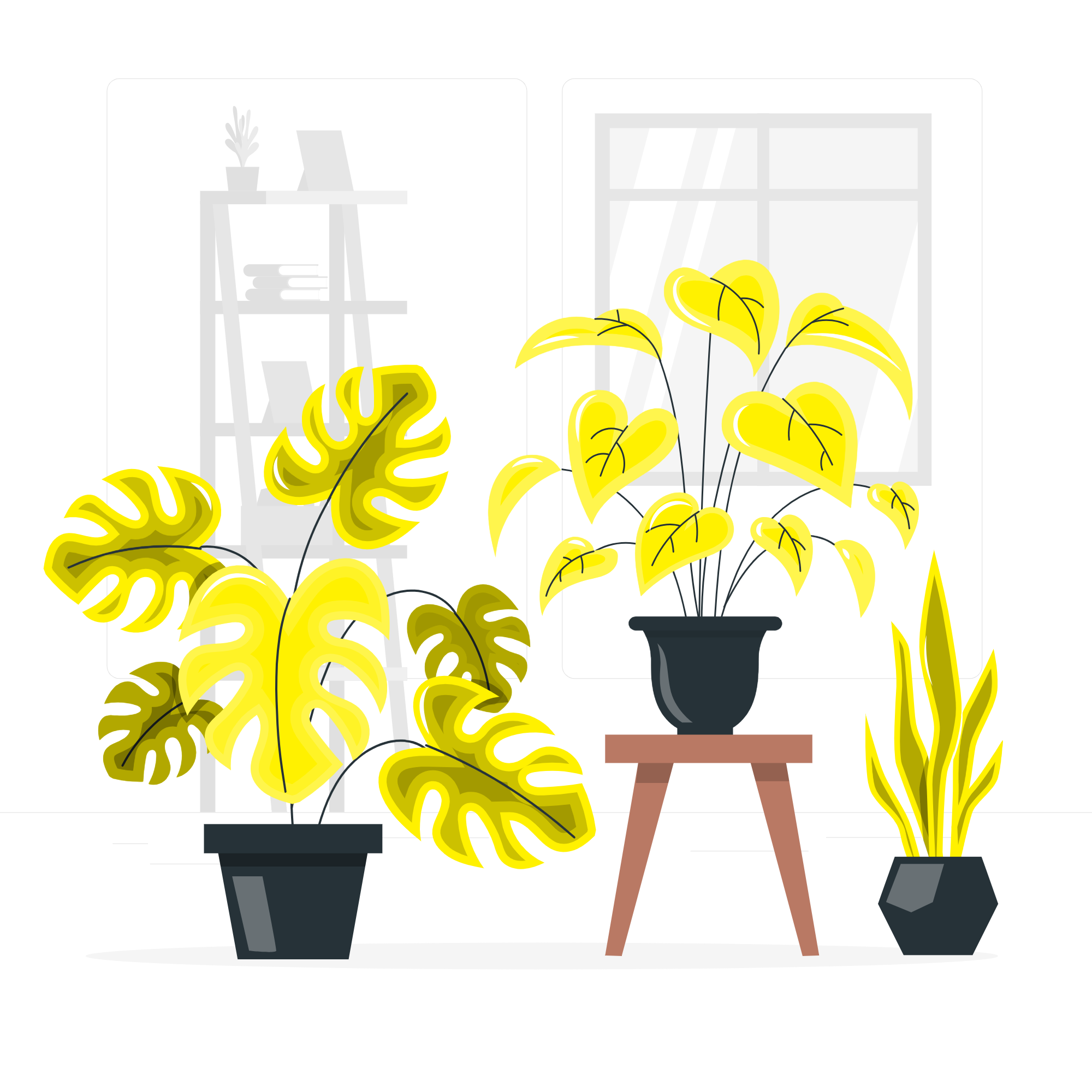 Evaluación de plantas